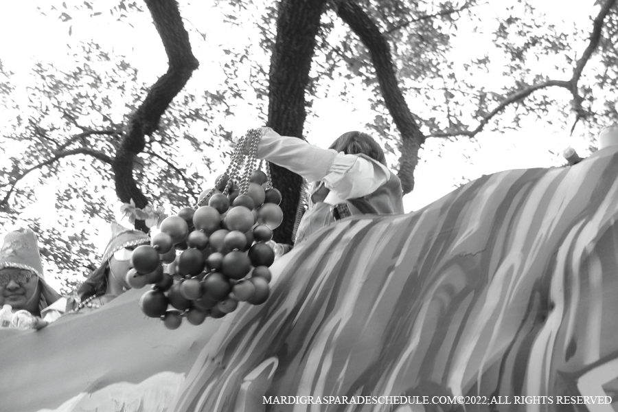 Krewe-of-King-Arthur00333-2022