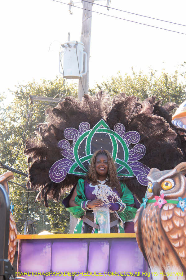 Krewe-of-King=Arthur-2026-4901