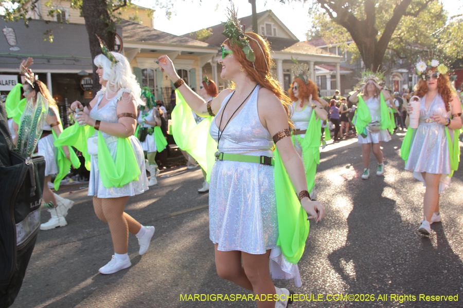 Krewe-of-King=Arthur-2026-4966