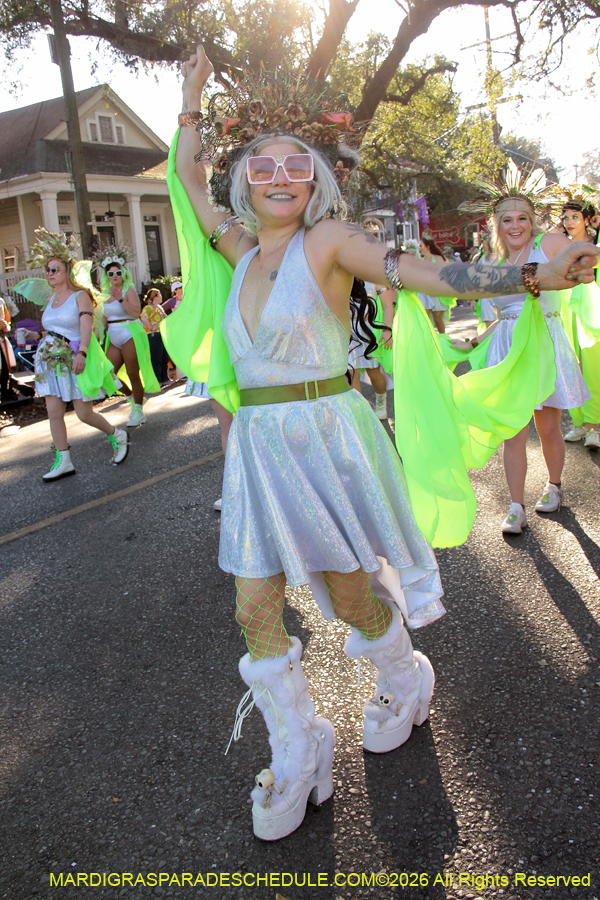 Krewe-of-King=Arthur-2026-4967