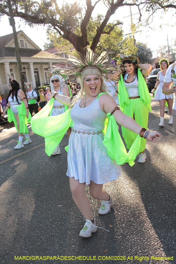 Krewe-of-King=Arthur-2026-4968