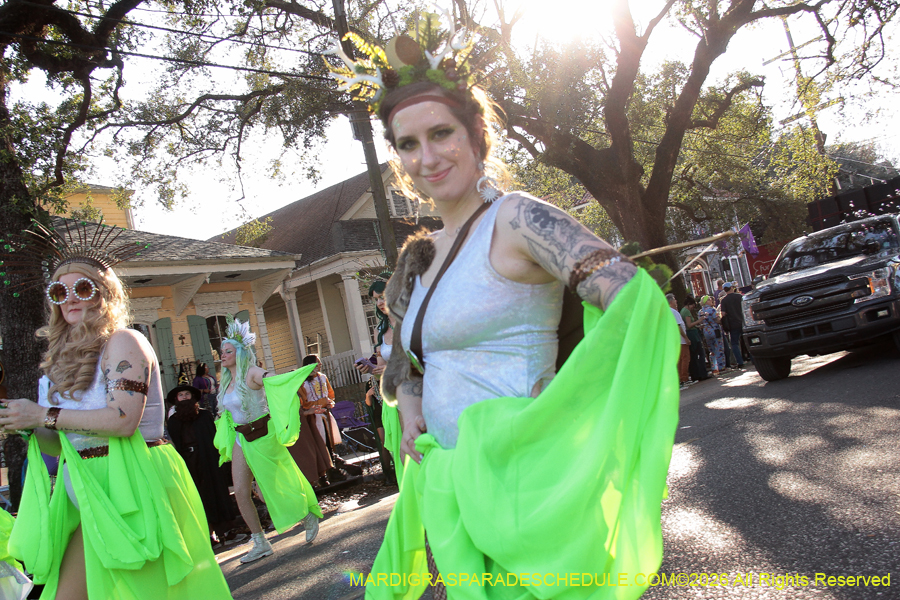 Krewe-of-King=Arthur-2026-4969