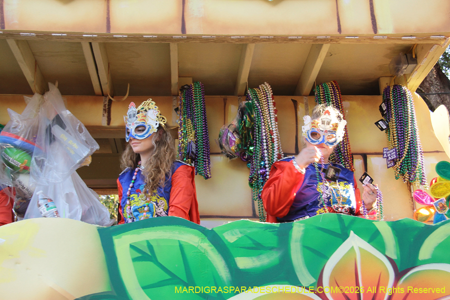 Krewe-of-King=Arthur-2026-4986