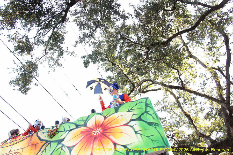 Krewe-of-King=Arthur-2026-5034