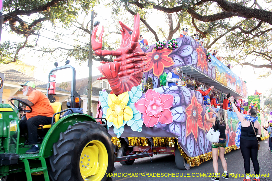 Krewe-of-King=Arthur-2026-5036