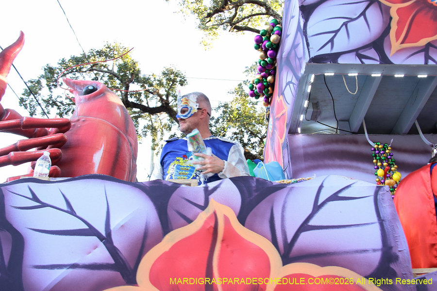 Krewe-of-King=Arthur-2026-5038