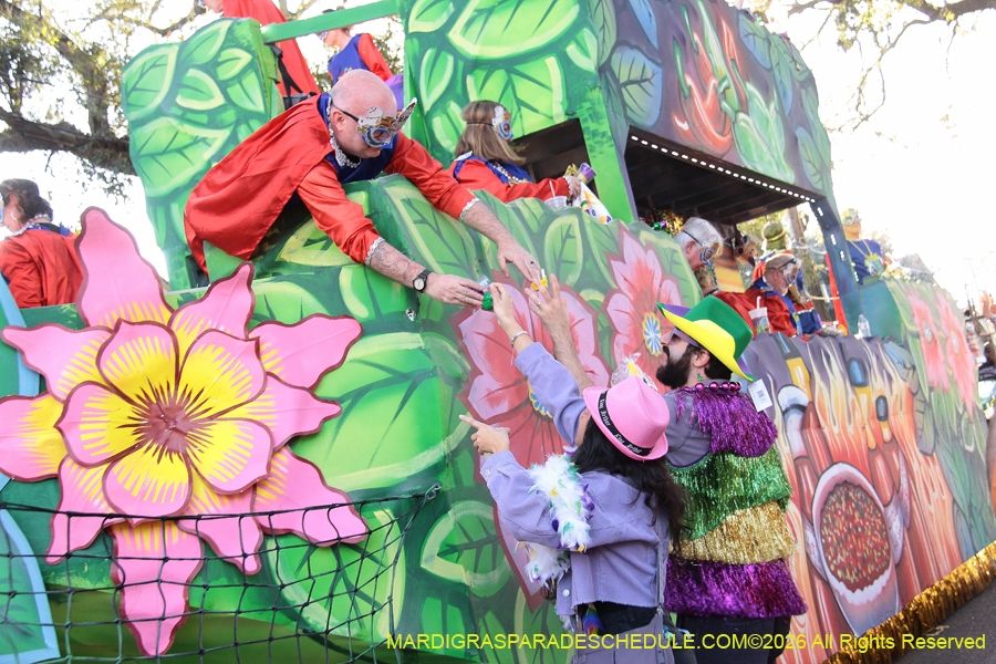 Krewe-of-King=Arthur-2026-5044