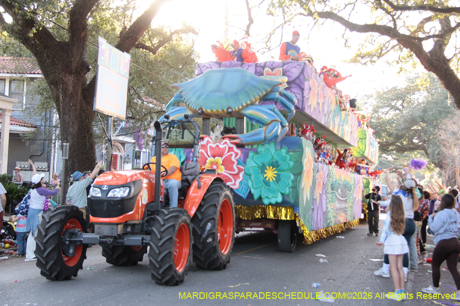 Krewe-of-King=Arthur-2026-5071