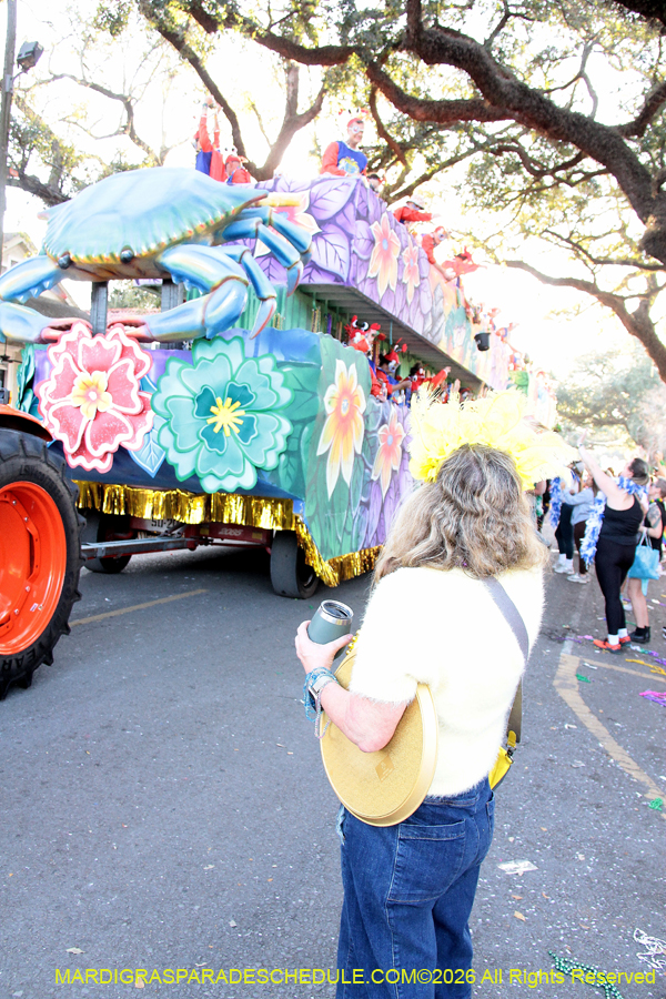 Krewe-of-King=Arthur-2026-5072