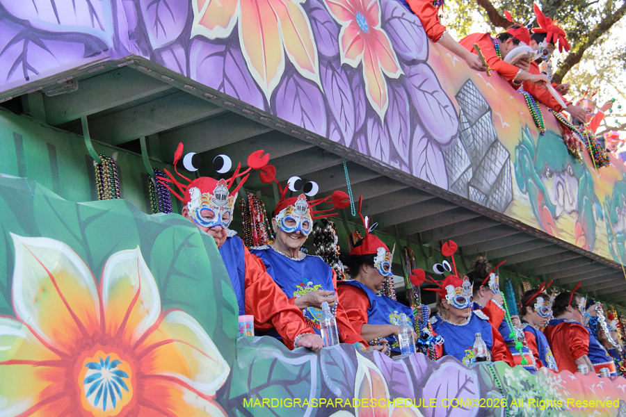 Krewe-of-King=Arthur-2026-5073