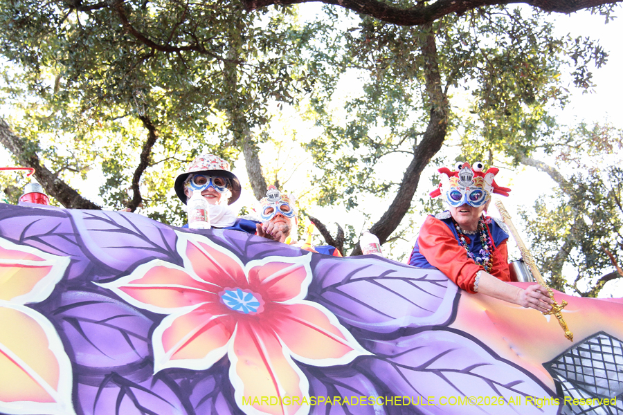 Krewe-of-King=Arthur-2026-5074