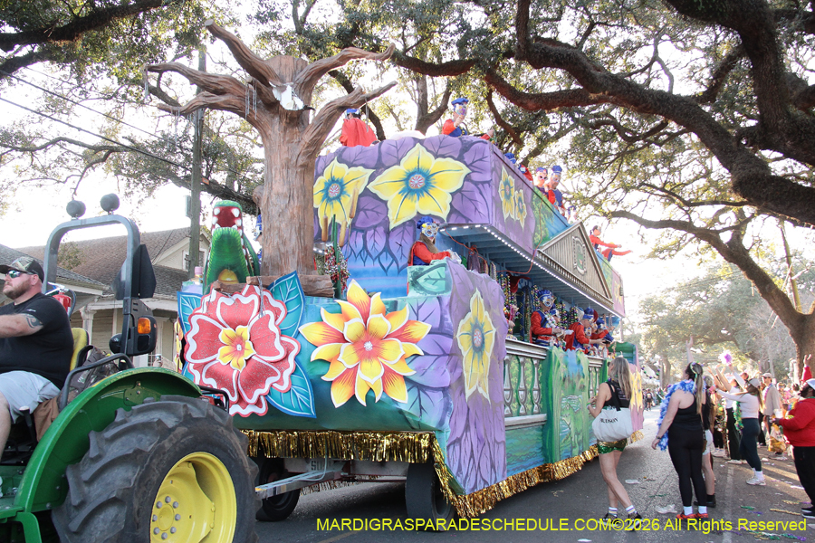 Krewe-of-King=Arthur-2026-5123