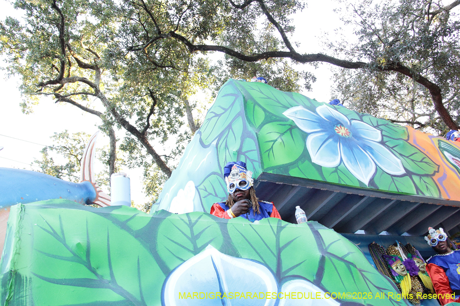 Krewe-of-King=Arthur-2026-5152