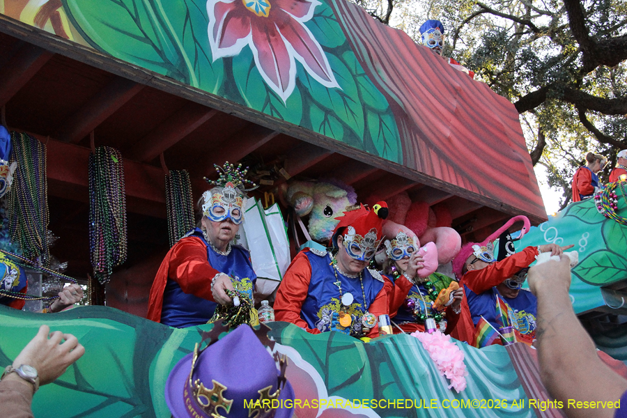 Krewe-of-King=Arthur-2026-5179