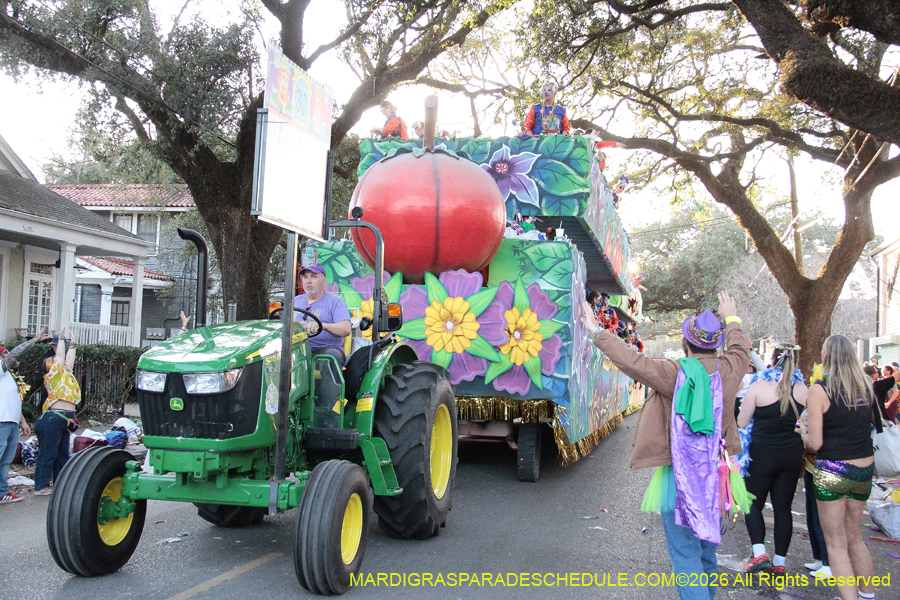 Krewe-of-King=Arthur-2026-5193