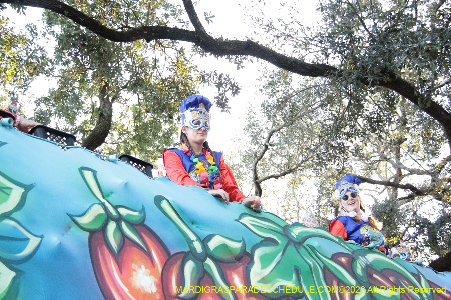 Krewe-of-King=Arthur-2026-5195