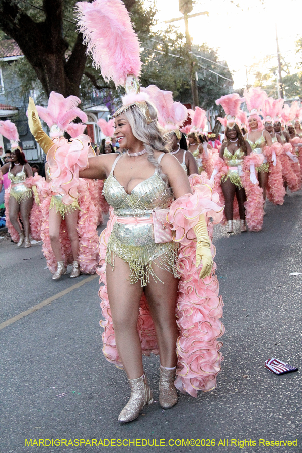 Krewe-of-King=Arthur-2026-5203