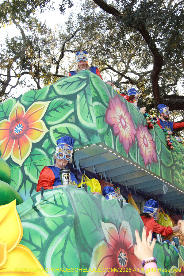 Krewe-of-King=Arthur-2026-5208