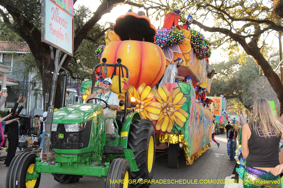 Krewe-of-King=Arthur-2026-5222