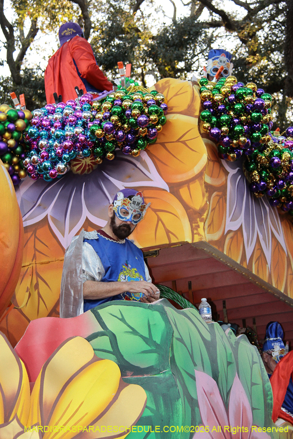 Krewe-of-King=Arthur-2026-5223