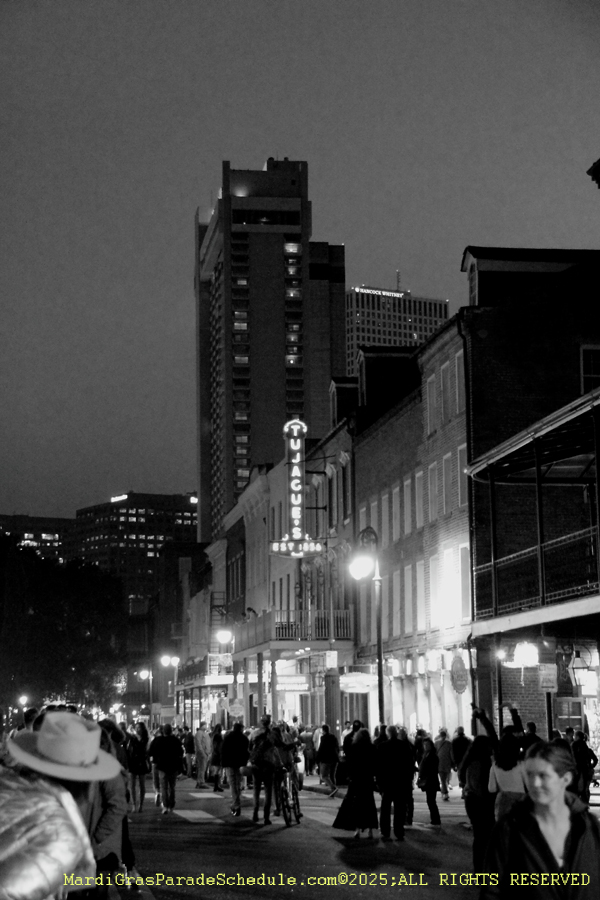 Krewe-Boheme-2025-001202