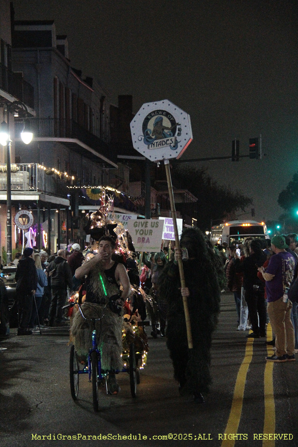 Krewe-Boheme-2025-001240