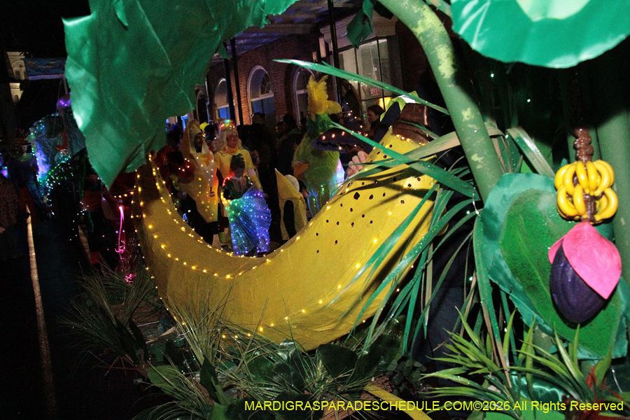 Krewe-Mosaique-2026-0560