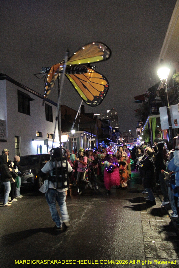 Krewe-Mosaique-2026-0618
