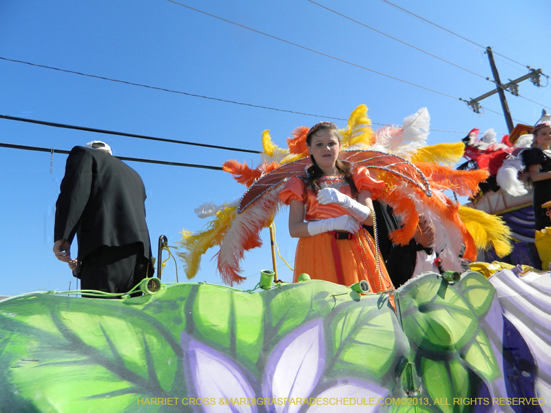 2013-Little-Rascals-Krewe-of-1085