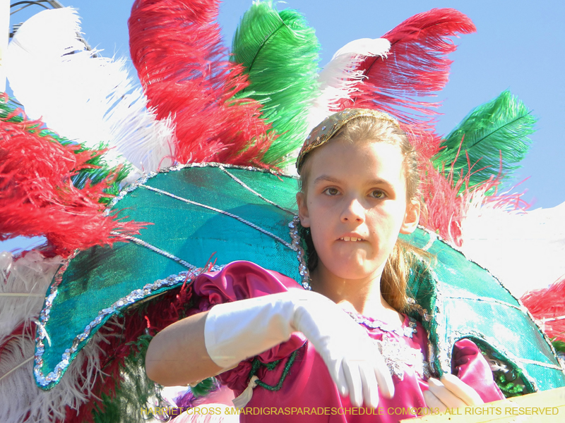 2013-Little-Rascals-Krewe-of-1112