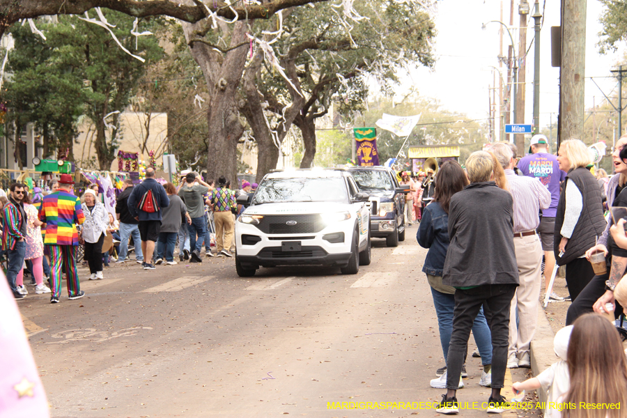 Lyons-Carnival-Club-2025-3266