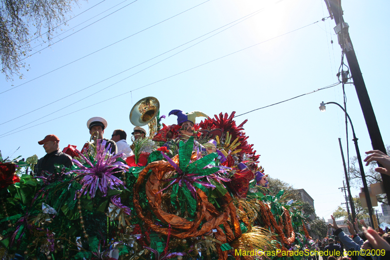 2009-Krewe-of-Mid-City-presents-Parrotheads-in-Paradise-Mardi-Gras-New-Orleans-0121