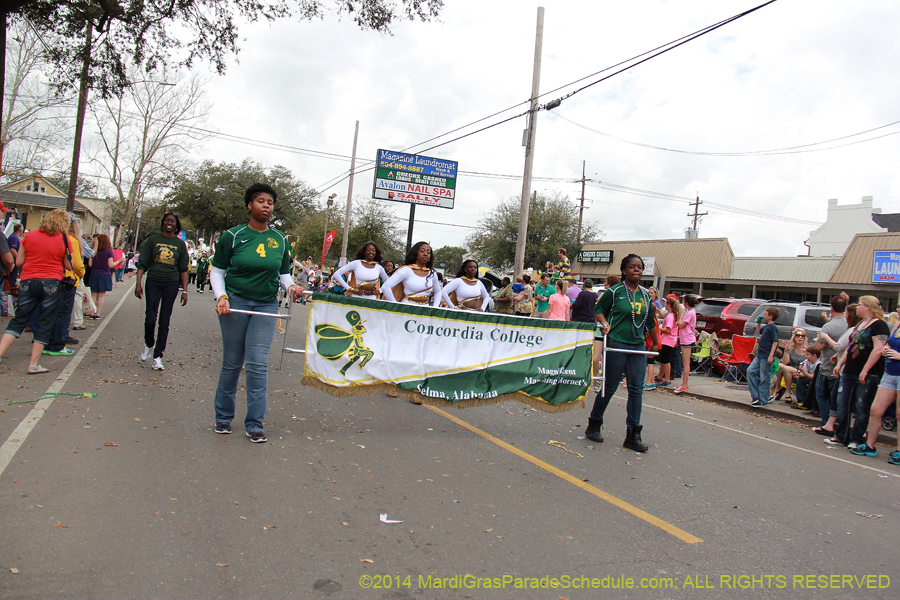 2014-Krewe-of-Mid-City-11019