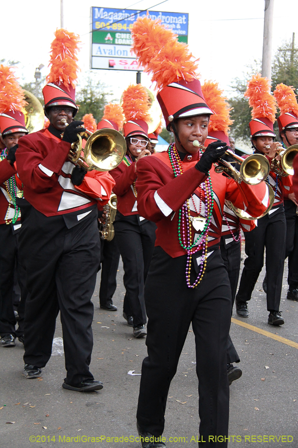 2014-Krewe-of-Mid-City-11099