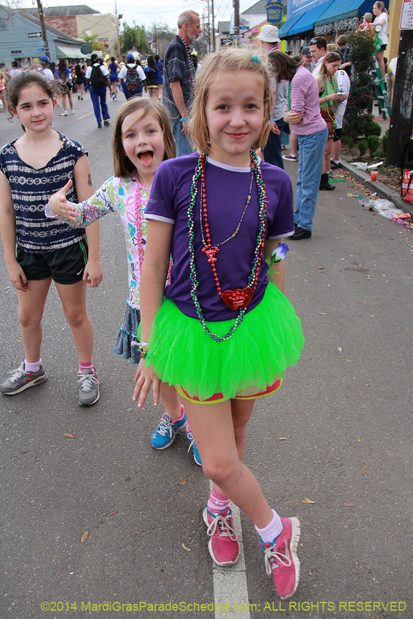 2014-Krewe-of-Mid-City-11127