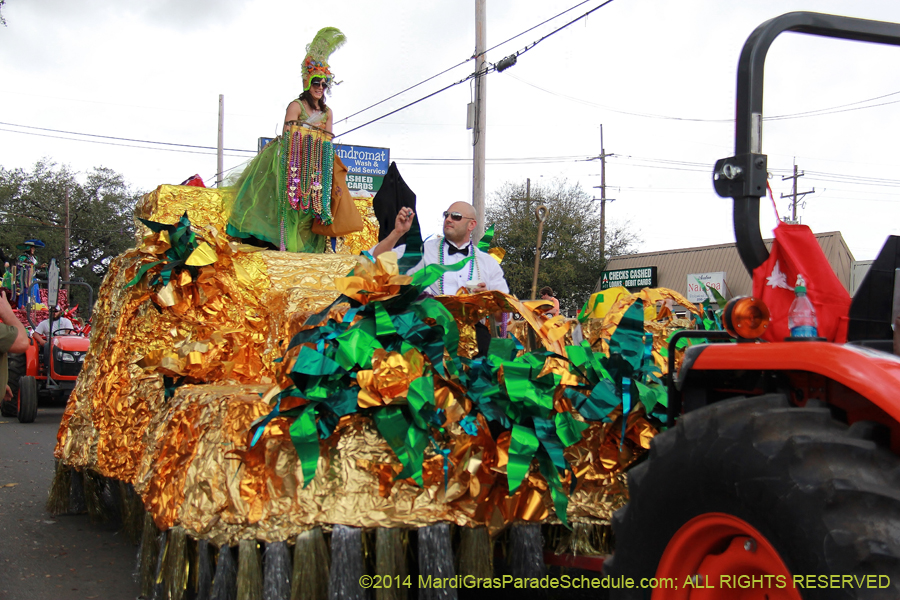 2014-Krewe-of-Mid-City-11128