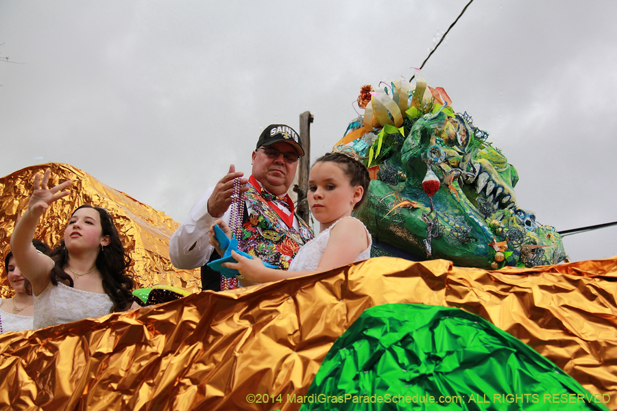 2014-Krewe-of-Mid-City-11168