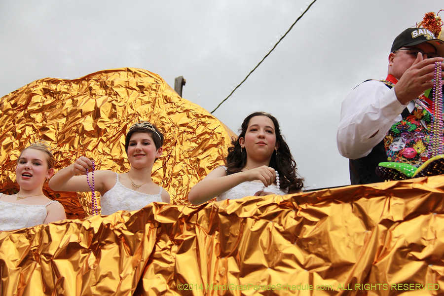 2014-Krewe-of-Mid-City-11169