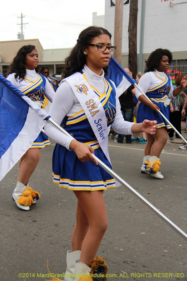 2014-Krewe-of-Mid-City-11175