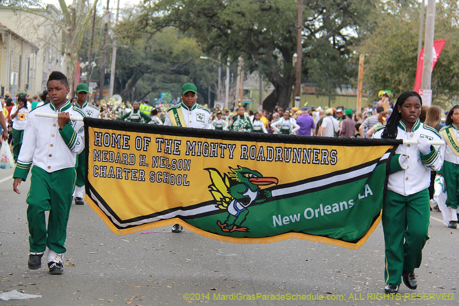 2014-Krewe-of-Mid-City-11216