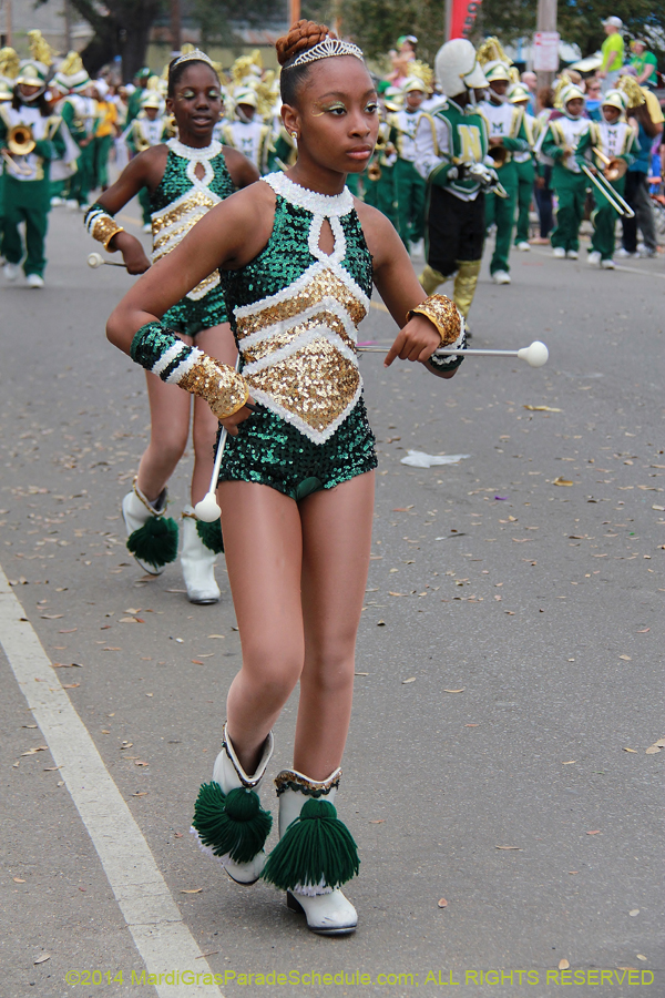 2014-Krewe-of-Mid-City-11218