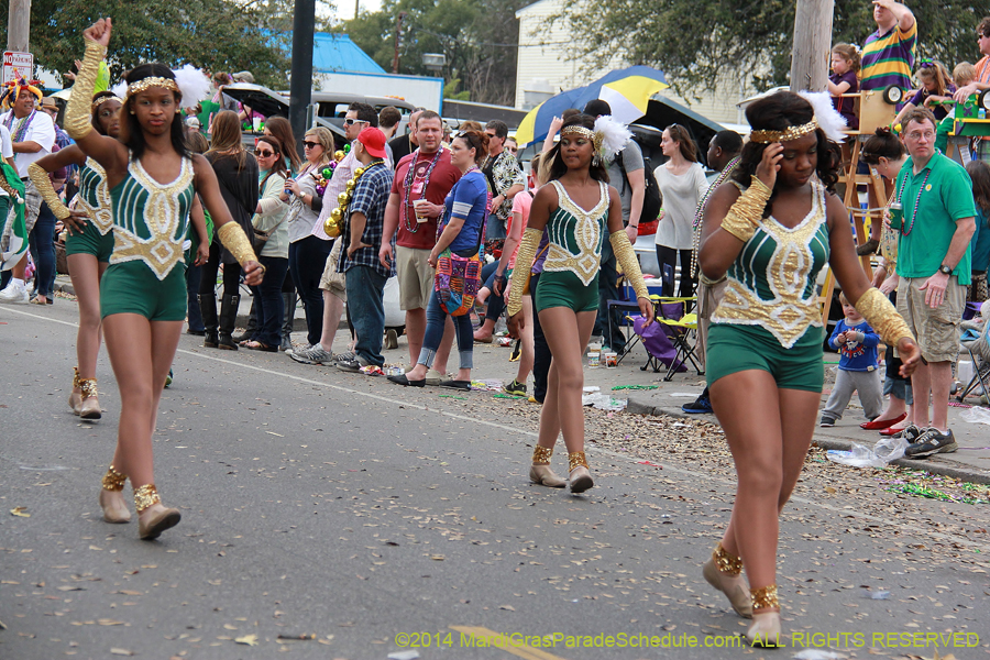 2014-Krewe-of-Mid-City-11223