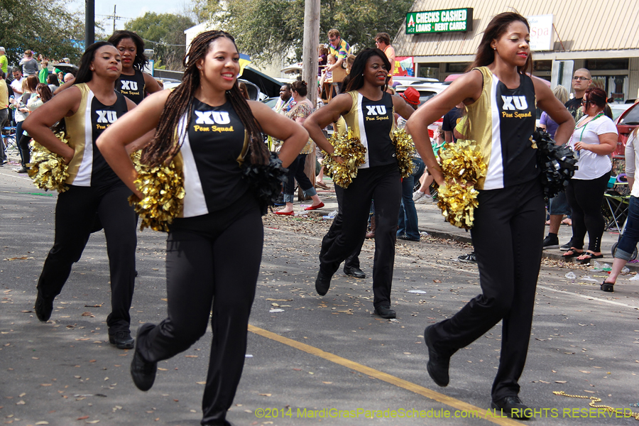 2014-Krewe-of-Mid-City-11291