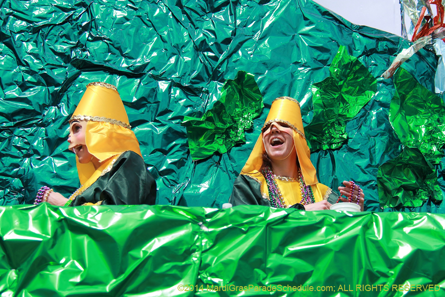 2014-Krewe-of-Mid-City-11310