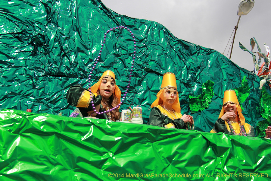 2014-Krewe-of-Mid-City-11312