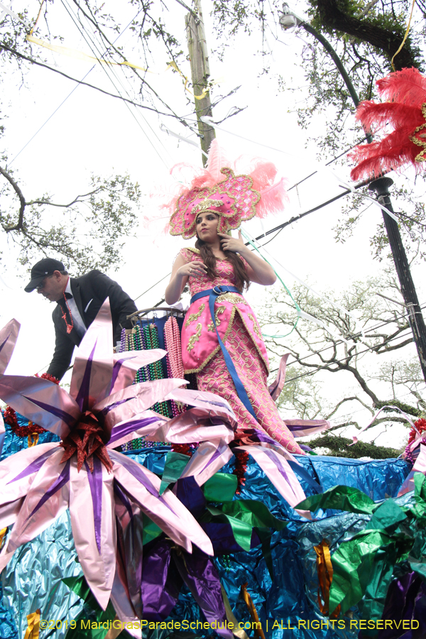 Krewe-of-Mid-City-2019-008111