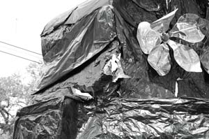 Krewe-of-Mid-City-00092-2022