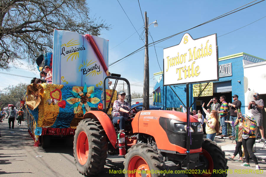 2023-Krewe-of-Mid-City-10692