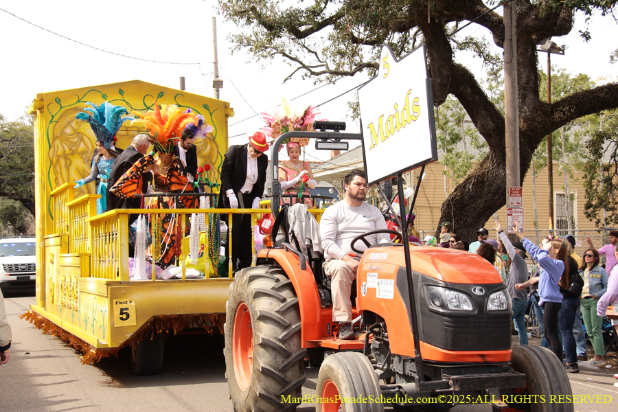 Krewe-of-Mid-City-2025-1711