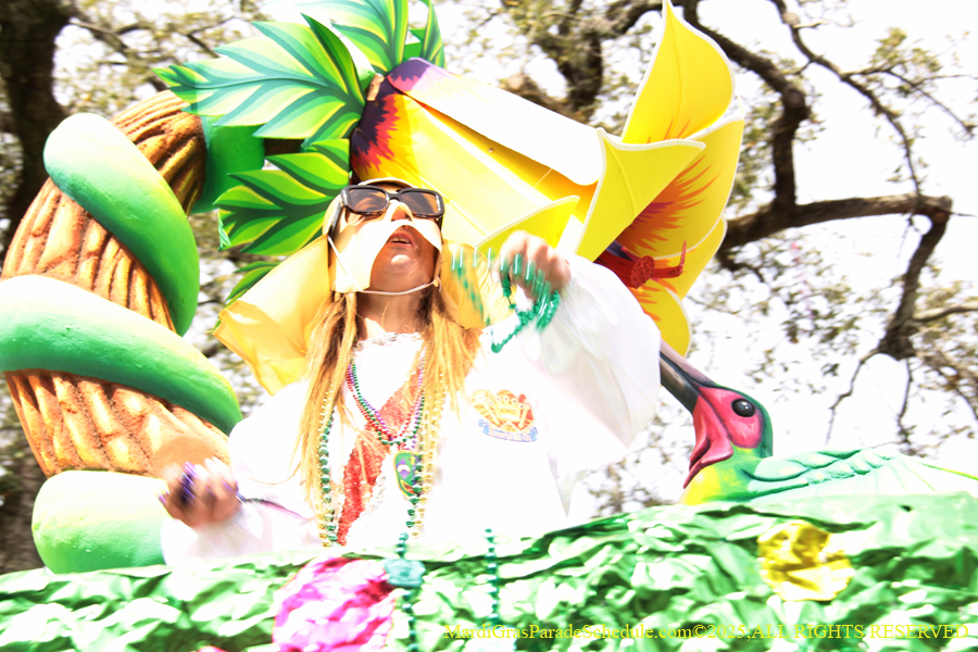 Krewe-of-Mid-City-2025-1755